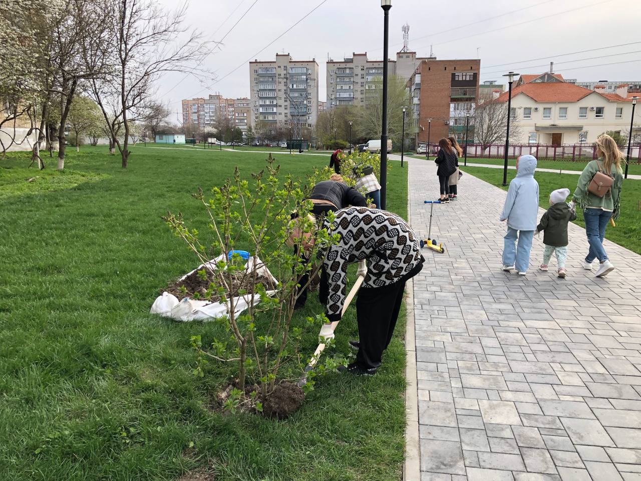 На территории г. Аксая прошел весенний День древонасаждения | 11.04.2023 |  Аксай - БезФормата