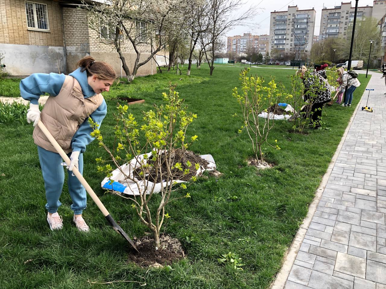 На территории г. Аксая прошел весенний День древонасаждения | 11.04.2023 |  Аксай - БезФормата