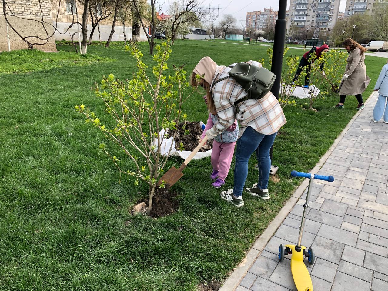 На территории г. Аксая прошел весенний День древонасаждения | 11.04.2023 |  Аксай - БезФормата