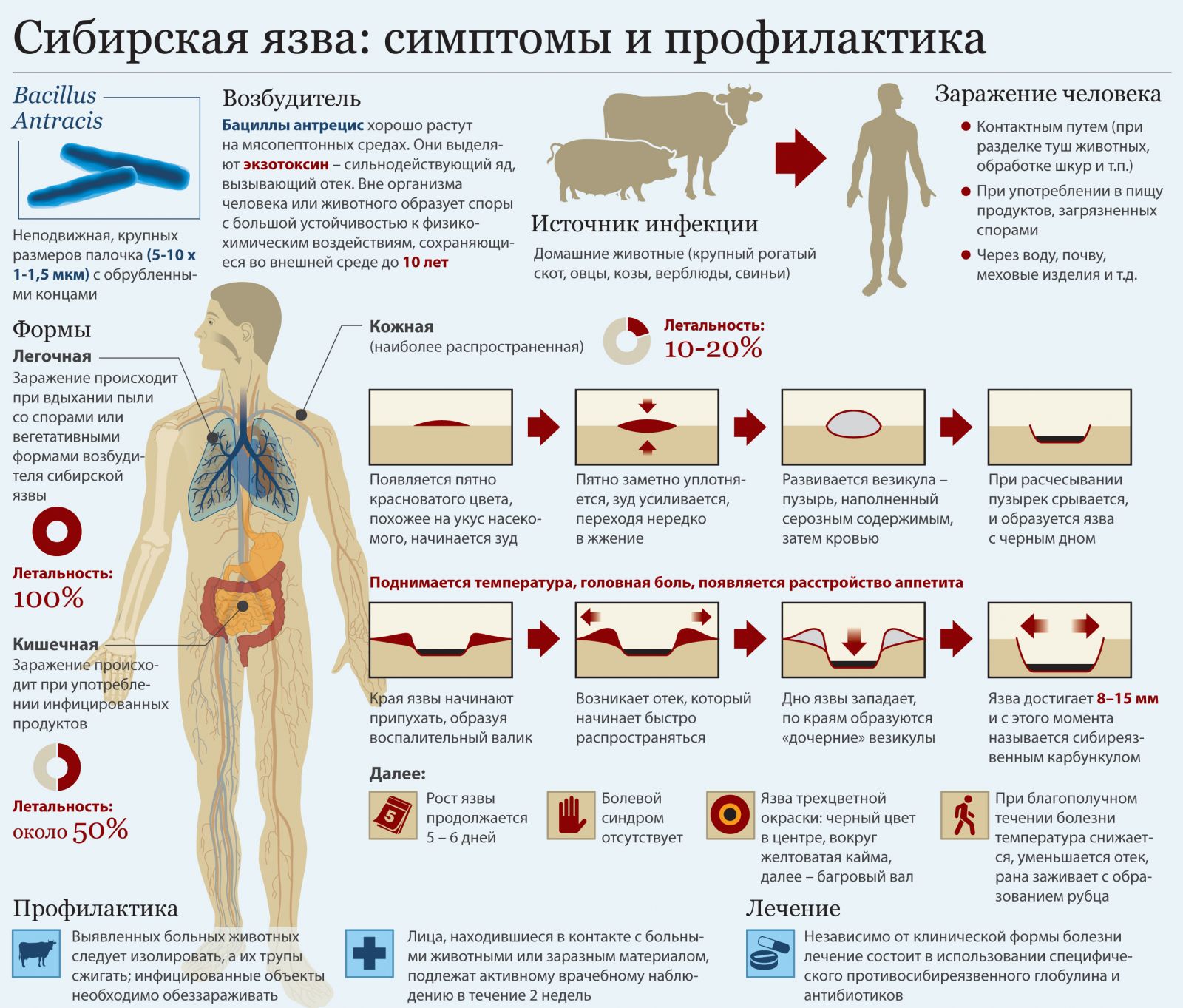 ВНИМАНИЕ! Сибирская язва на территории Воронежской области! | 29.08.2023 |  Аксай - БезФормата